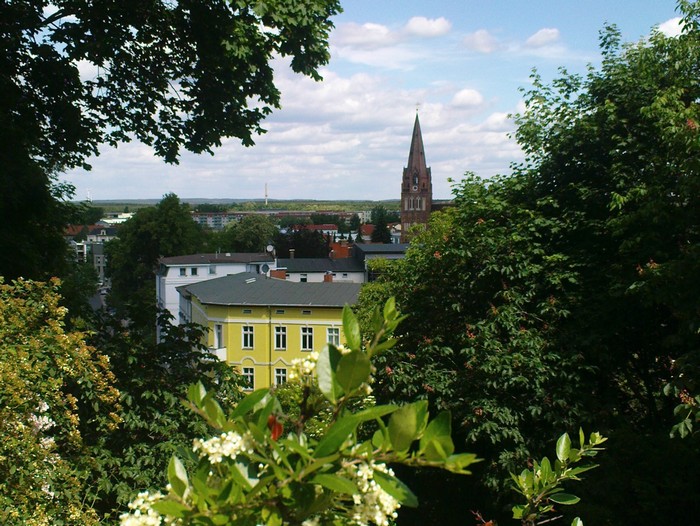 Blick vom Drachenkopf auf Eberswalde